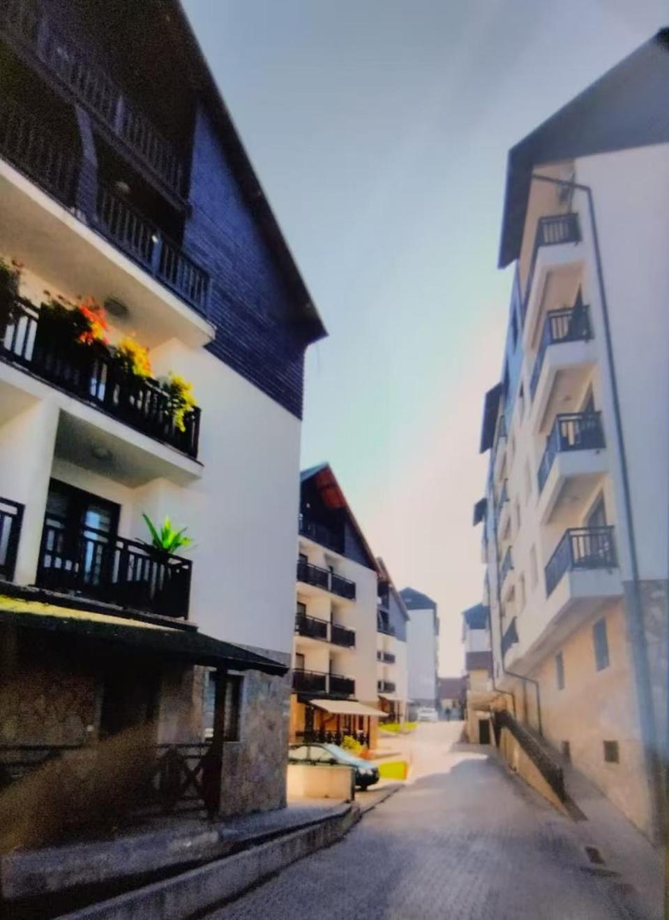 Beli Apartman U Zlatiborskim Konacima Bele Vode Bb Eksteriør bilde